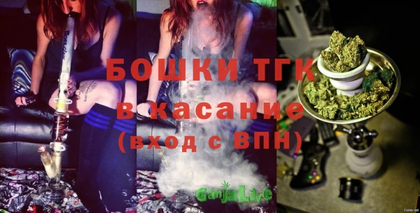 шишки Нефтекумск